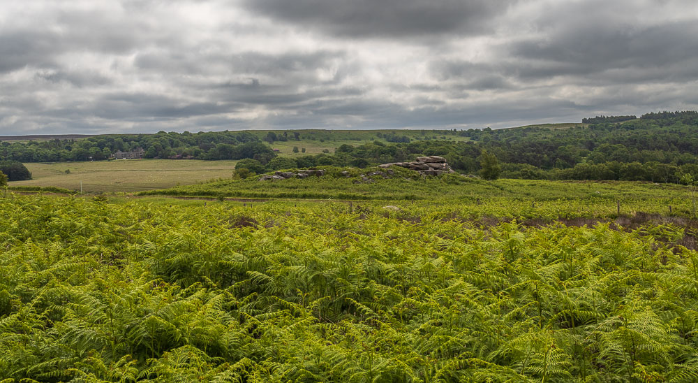 Owler Tor